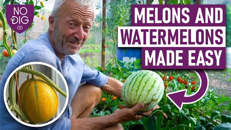 melosn tube|Free Big Melons Porn Videos (6,957)